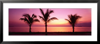 Miami Beach, Florida, Usa by Panoramic Images Pricing Limited Edition Print image
