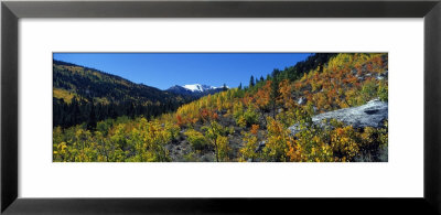 Rock Creek Canyon, Eastern Sierra Mountains, California, Usa by Panoramic Images Pricing Limited Edition Print image