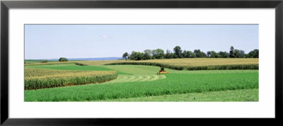 Harvesting, Farm, Frederick County, Maryland, Usa by Panoramic Images Pricing Limited Edition Print image