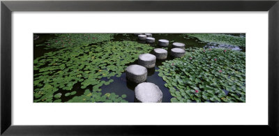 Water Lilies In A Pond, Helan Shrine, Kyoto, Japan by Panoramic Images Pricing Limited Edition Print image