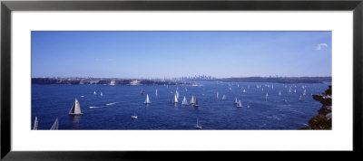 Yacht Race, Sydney Harbor, Australia by Panoramic Images Pricing Limited Edition Print image