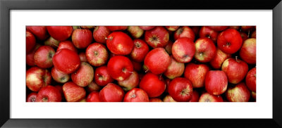 Close-Up Of Red Apples by Panoramic Images Pricing Limited Edition Print image