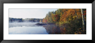 Deciduous Trees Along The Chocorua Lake, White Mountains National Forest, New Hampshire, Usa by Panoramic Images Pricing Limited Edition Print image
