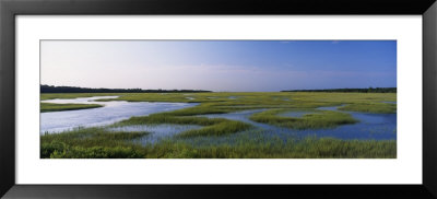 Salt Marsh, Florida, Usa by Panoramic Images Pricing Limited Edition Print image