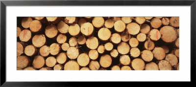 Marked Wood In A Timber Industry, Black Forest, Germany by Panoramic Images Pricing Limited Edition Print image