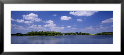 Everglades National Park, Florida, Usa by Panoramic Images Pricing Limited Edition Print image
