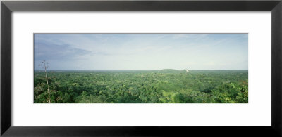High Angle View Of A Rainforest, Mexico by Panoramic Images Pricing Limited Edition Print image