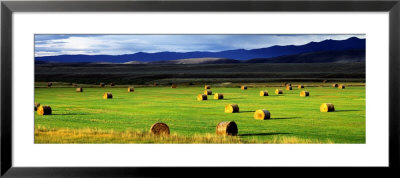 Haystacks, Field, Jackson County, Colorado, Usa by Panoramic Images Pricing Limited Edition Print image