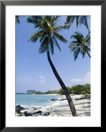 Kona State Beach, Island Of Hawaii (Big Island), Hawaii, Usa by Ethel Davies Pricing Limited Edition Print image