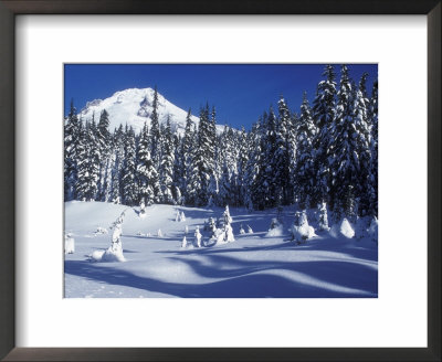Snow Covered Trees And Moguls Of Mt. Hood, Oregon, Usa by Janis Miglavs Pricing Limited Edition Print image
