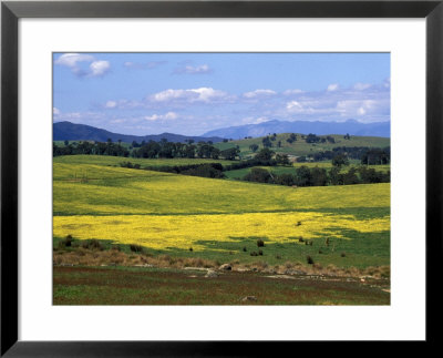 Wide Open Rolling Landscape, High Country, Australia by Richard Nebesky Pricing Limited Edition Print image