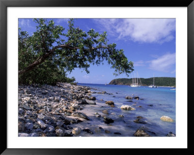 Salt Pond Bay, St. John, Usvi by Jim Schwabel Pricing Limited Edition Print image