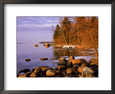 Morning Light In Spring, South Finland by Heikki Nikki Pricing Limited Edition Print image