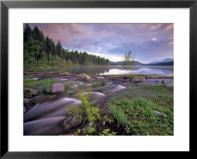 Lower Stillwater Lake In The Flathead National Forest, Montana, Usa by Chuck Haney Pricing Limited Edition Print image