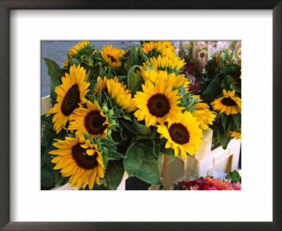 Market Sunflowers, Nice, France by Charles Sleicher Pricing Limited Edition Print image