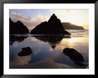 Lone Bird Perches On A Sea Stack At Sunset, Harris Beach State Park, Oregon, Usa by Jerry Ginsberg Pricing Limited Edition Print image