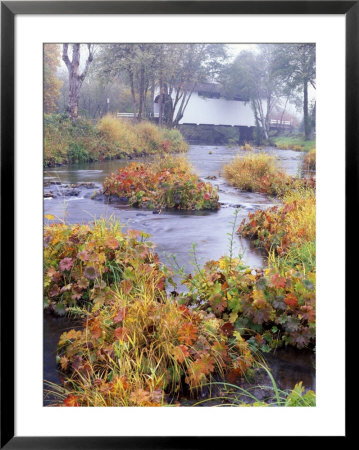 Fall Over Harris Covered Bridge In Benton County, Oregon, Usa by Janis Miglavs Pricing Limited Edition Print image