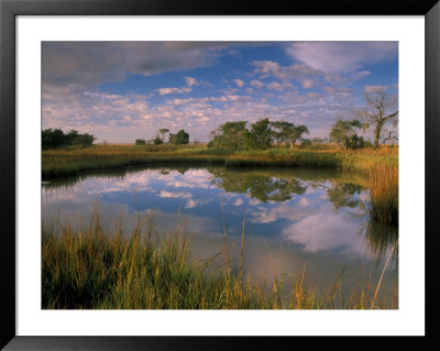 Reflection Of Clouds On Tidal Pond In Morning Light, Savannah, Georgia, Usa by Joanne Wells Pricing Limited Edition Print image