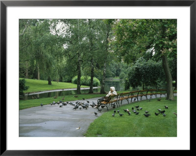 Woman Feeds Pigeons In The City Park In Vienna by Taylor S. Kennedy Pricing Limited Edition Print image