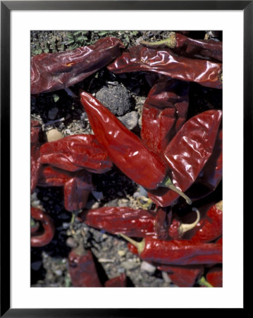 Chile Peppers Drying In The Sun, Rosario, Baja, Mexico by Cindy Miller Hopkins Pricing Limited Edition Print image