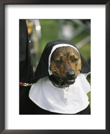 Pet Dog Dressed As A Nun During A Halloween Celebration by Richard Nowitz Pricing Limited Edition Print image