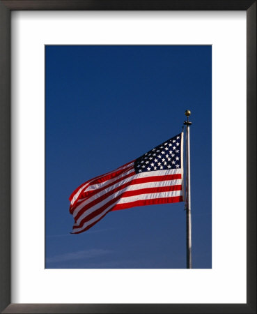 American Flag Blowing In Breeze, Washington Dc, Usa by Johnson Dennis Pricing Limited Edition Print image