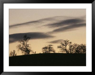 Pre-Storm, Hampstead Heath, London, England, United Kingdom by Upperhall Pricing Limited Edition Print image