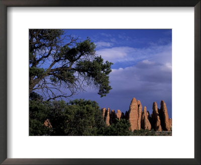 Fiery Furnace Fins, Arches National Park, Utah, Usa by Jamie & Judy Wild Pricing Limited Edition Print image