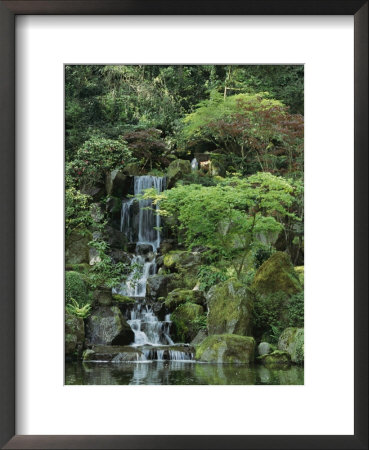 Japanese Garden In Portland by Darlyne A. Murawski Pricing Limited Edition Print image