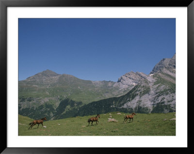 Wild Horses Run Through The High Country Near Gedre by Michael S. Lewis Pricing Limited Edition Print image