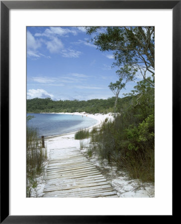 Lake Mckenzie, Fraser Island, Unesco World Heritage Site, Queensland, Australia by Sheila Terry Pricing Limited Edition Print image