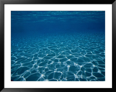 Sunlight Reflects On The Sea Floor Through Crystal Clear Blue Water by Raul Touzon Pricing Limited Edition Print image