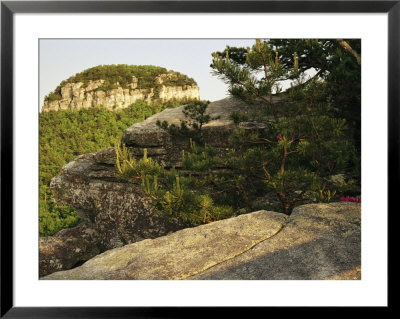 View Of The Pinnacle Of Pilot Mountain From The Sassafras Trail by Raymond Gehman Pricing Limited Edition Print image