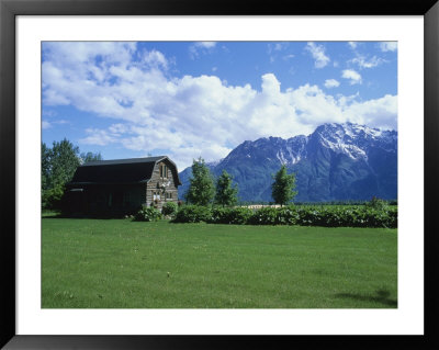 Farm Cabin, With The Chugach Mountains In The Background by Rich Reid Pricing Limited Edition Print image