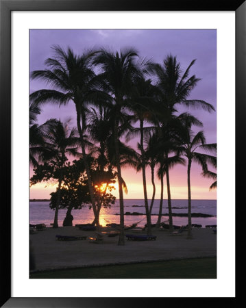 Coconut Trees Silhouetted On Mauna Lani Bay Hotels Beach At Sunset by Richard Nowitz Pricing Limited Edition Print image