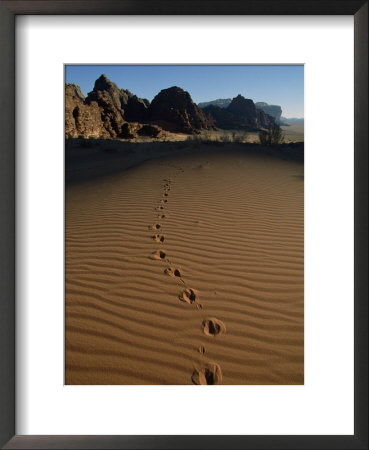 Animal Tracks Mark The Desert Land Of Wadi Rum by Annie Griffiths Belt Pricing Limited Edition Print image