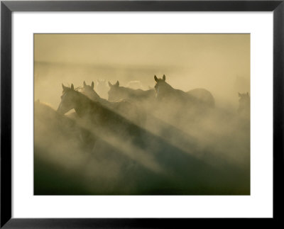 Horses Run Home by Sisse Brimberg Pricing Limited Edition Print image