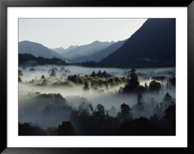 A Heavy Fog Fills A Valley In The Olympic Mountains by Sam Abell Pricing Limited Edition Print image