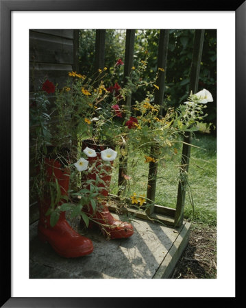 Flowers Bloom From An Unlikely Place-A Pair Of Red Boots On A Porch by Jonathan Blair Pricing Limited Edition Print image