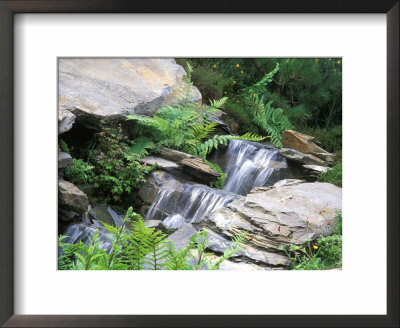 Cascading Waterfall Over Large Rocks Surrounded By Ferns, Visions Of Snowdonia Garden by Linda Burgess Pricing Limited Edition Print image