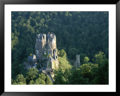 Elevated View Of Enz Castle by Peter Carsten Pricing Limited Edition Print image