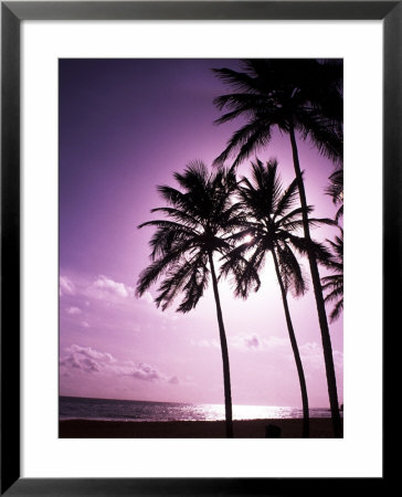Beach Scene At Sunset by Bill Bachmann Pricing Limited Edition Print image