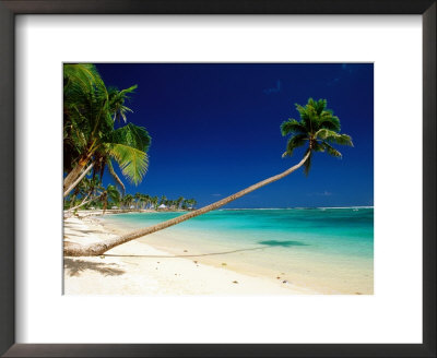 Palm Trees Leaning Towards Sea At Matautu Beach, Matautu, A'ana, Upolu, Samoa by Peter Hendrie Pricing Limited Edition Print image