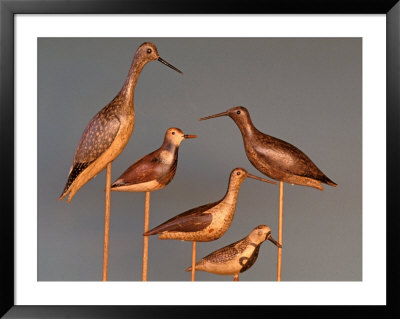 Shore Bird Decoys, Usa by Gavriel Jecan Pricing Limited Edition Print image