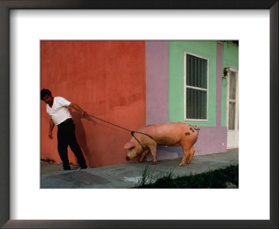 Villager Pulling Pig On Rope, Tlacotalpan, Veracruz-Llave, Mexico by Jeffrey Becom Pricing Limited Edition Print image