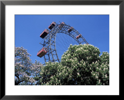 View Of The Giant Prater Ferris Wheel Above Chestnut Trees In Bloom, Vienna, Austria by Richard Nebesky Pricing Limited Edition Print image