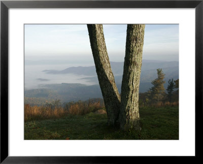 Sunlight Breaks Through Fog-Filled Shenandoah Valley by Charles Kogod Pricing Limited Edition Print image