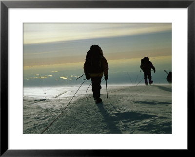 Mountain Climbers Hike Through A Snowy Landscape To The Top Of Denali by Bill Hatcher Pricing Limited Edition Print image
