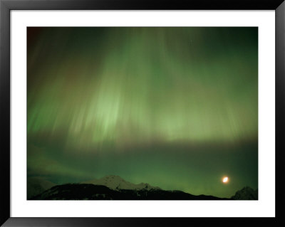 The Aurora Borealis Illuminates The Sky by Norbert Rosing Pricing Limited Edition Print image