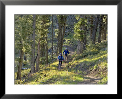 Bangtail Ridge Trail Near Bozeman, Montana, Usa by Chuck Haney Pricing Limited Edition Print image